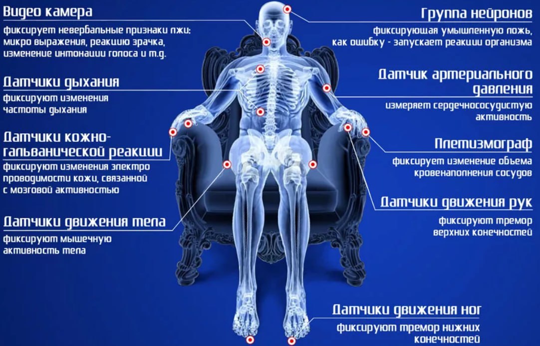 Предоставленная специалистом иллюстрация датчиков и регистрируемых реакций